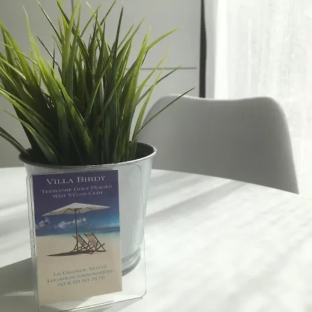 Апартаменты Le Birdy, Terrasse, Wifi, Clim *